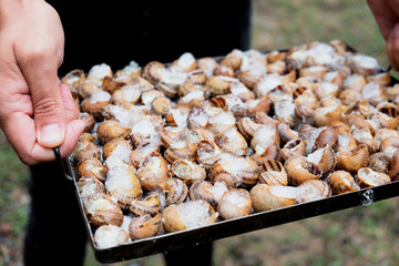 young man preparing a catalan recipe of snails