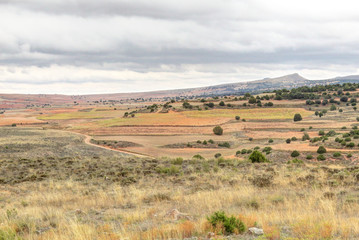 Fototapeta na wymiar An unpaved GR24 path going through cultivated hills and ploughed fields during a cloudy autumn next to Calmarza, Aragon region, Spain