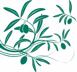 Olivo