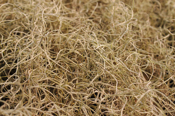 background of straw