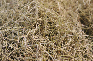 background of straw