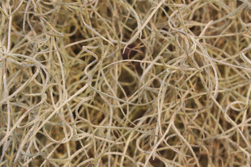 background of straw
