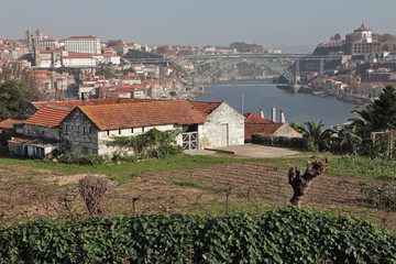 View of the historic city of Porto with the Dom Luis bridge