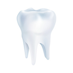 Realistic tooth poster. Illustrations isolated on white background. Graphic concept for your design