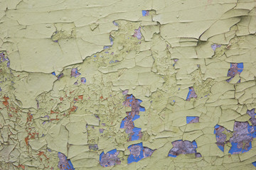 Fototapeta premium board painted with old green paint texture