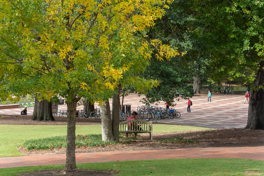 College students walk across campus at NC State amongst beautiful Autumn foliage.