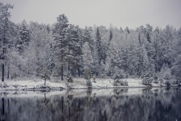 Winter landscape: snow-covered forest on the lake, the reflection of snow trees in the water.