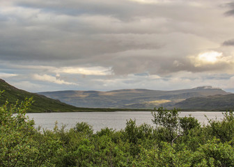 Fototapeta na wymiar Green forest next to wide lake and mountains on the background. Westfjords of Iceland, Europe