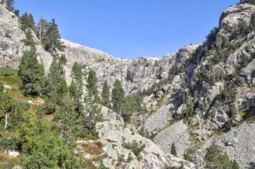 A landscape of the high rocky mountains with firs and pine trees forest and a blue sky in a sunny autumn, in Panticosa, Aragon Pyrenees, Spain