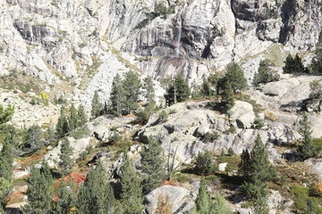 A landscape of the high rocky mountains with firs and pine trees forest and a blue sky in a sunny autumn, in Panticosa, Aragon Pyrenees, Spain