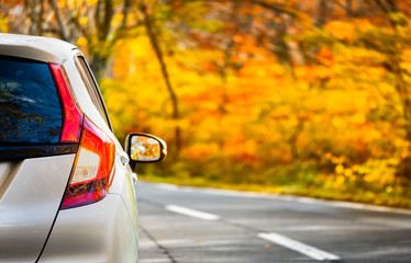 Close Up Tail lamp of The car on the road or gold line in the forest during the autumn season with blur forest and Leaves change color background in travel and transportation concept. - Powered by Adobe