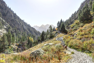 A path going through high rocky mountains with firs and pine trees forest and a blue sky in a sunny...