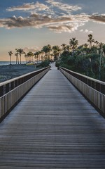 Fototapeta na wymiar Walking through the wooden bridge between exotic scenery of palm trees at sunset