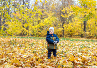 Portrait of little boy in autumn park