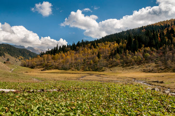 Russia, Arkhyz. Atsgara river valley in autumn in Sunny day