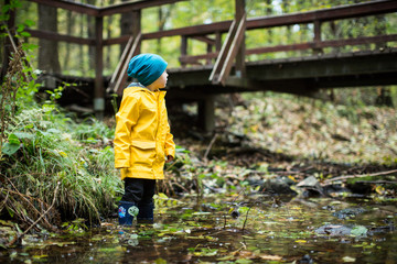 im Wald stehen