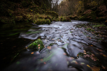 Magical stream in the forest