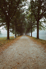 Foggy park