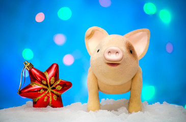 Symbol of 2019 new year pig with a Christmas star on a blue background
