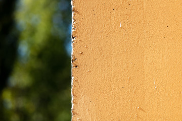 Old wall in the house as a background © schankz