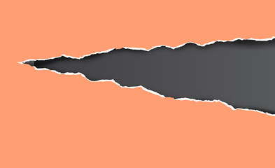 Torn and ripped sheet of paper. Vector illustration.