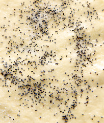Poppy grains on dough as an abstract background