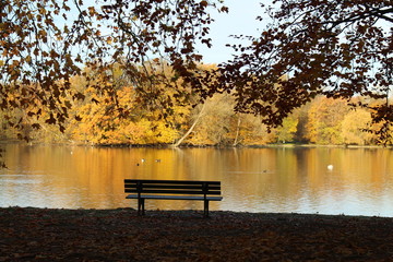 Herbst im Park VIII