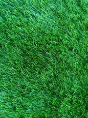 texture of green grass