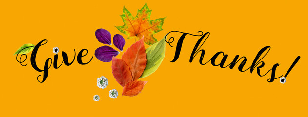 Horizontal cover for Happy Thanksgiving site, collage of handwritten font and carved autumn leaves, cones, flowers and petals, flat top view, on orange background.
