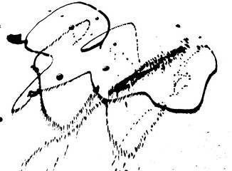 Ink grunge drops texture. Black hand drawn splashes and stains on white background.