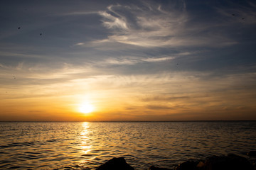 background of sunset on the sea, birds fly among the clouds lit by the rays of the sun