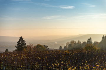 Couché de soleil sur un paysage de campagne en Lorraine devant les vignes en Automne
