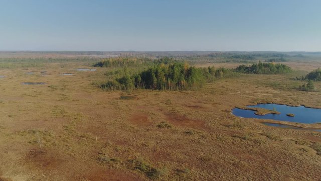 Swamps in Kemeri a summer day with fields of beautiful lakes 4K Latvia Drone flight