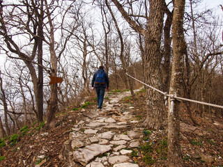 Naklejka premium a man climbs the mountain through the forest