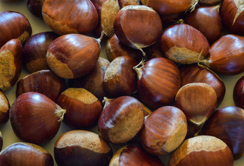 handful of chestnuts isolated on white background. Typical autumn fruit