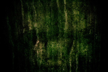 Dark concrete wall with green moss, imperfections and natural cement texture as background texture with dark vignetting