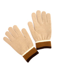 mitten on the white background