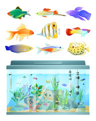 Huge Aquarium and Various Fishes Set Colorful Card