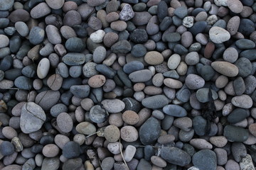 Beach Pebbles