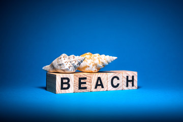 Seashell in isolated blue background  with Beach alphabet