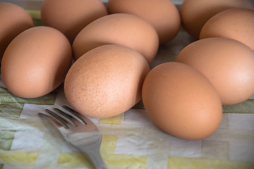 group of raw eggs