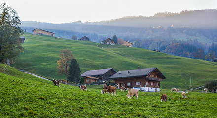 Landscape with mountain village in autumn