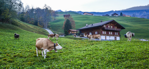 Landscape with mountain village in autumn