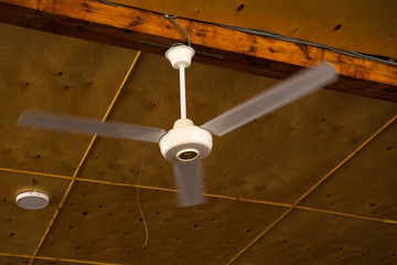 Propellers in motion