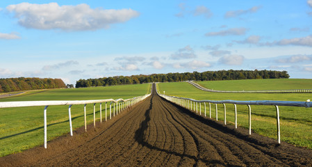 Looking up the training gallops - Newmarket Heath, Suffolk, UK