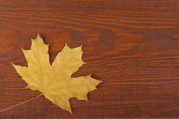 Naklejka na ściany i meble Colorful autumn leaves on wooden background, Copy space for text. Top view.