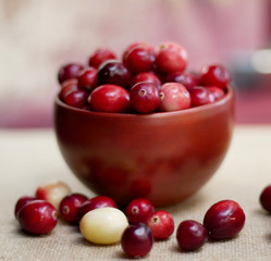 Square image of a bowl of ripe cranberries