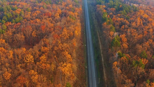 Flying over the empty railway in autumn forest at sunset