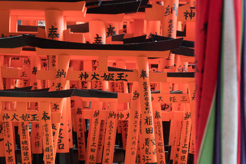 Kyoto Fushimi Inari Temple