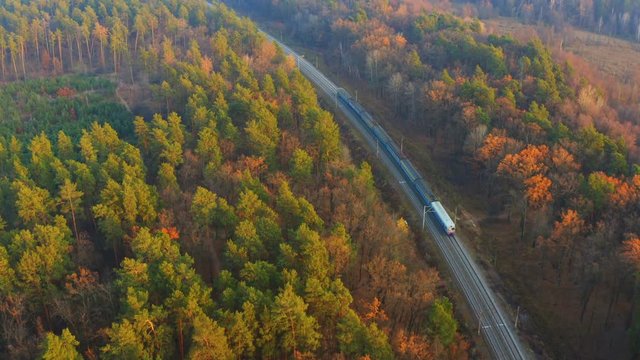 Aerial following shot of a commuter train moves through the autumn forest at sunset